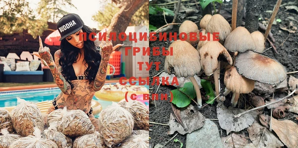 трава Алексеевка