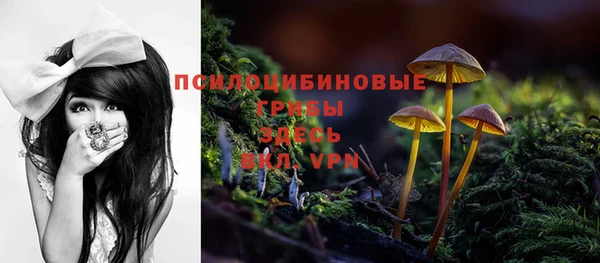 трава Алексеевка