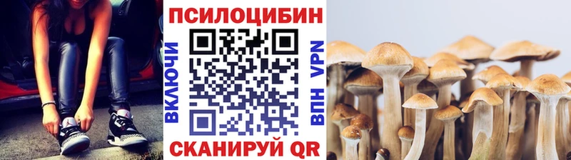 Галлюциногенные грибы прущие грибы  Шелехов 